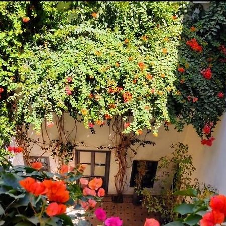 Bougainvillea Riad Marrakesh Extérieur photo