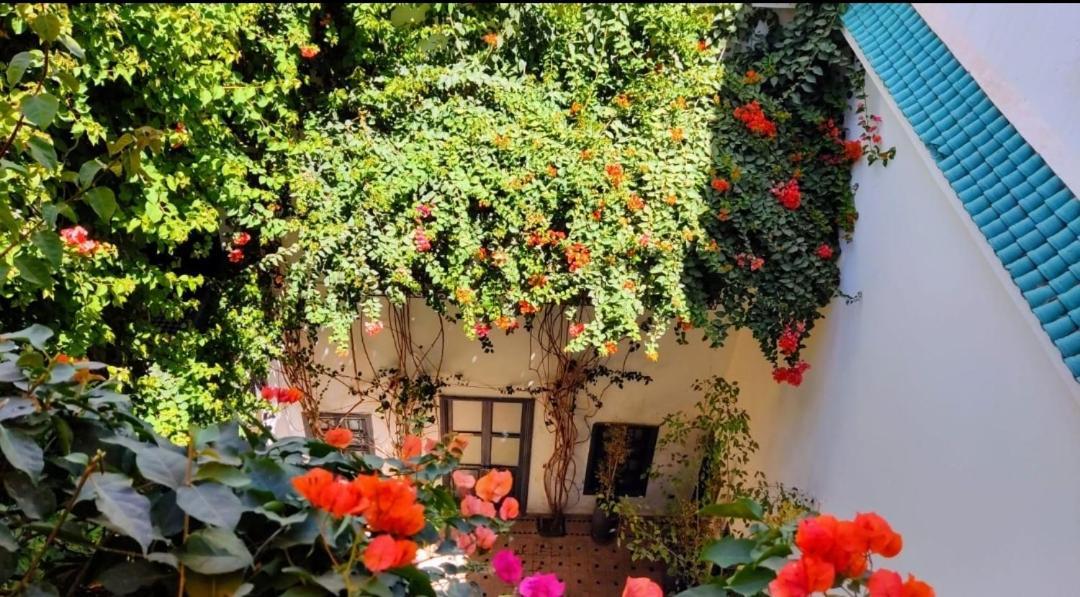 Bougainvillea Riad Marrakesh Extérieur photo