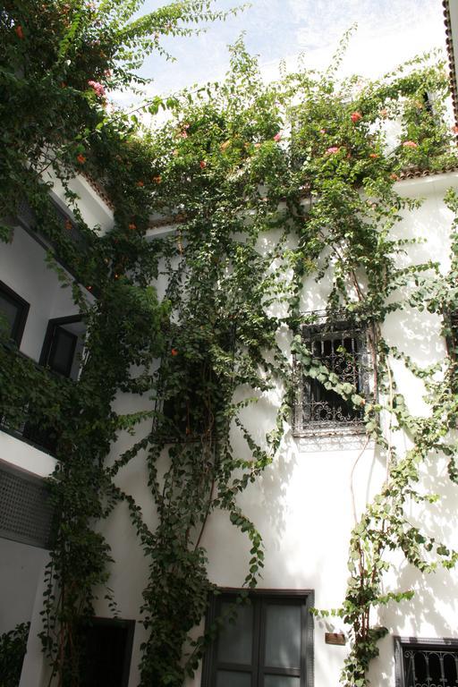 Bougainvillea Riad Marrakesh Extérieur photo