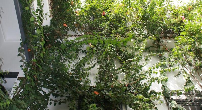 Bougainvillea Riad Marrakesh Extérieur photo