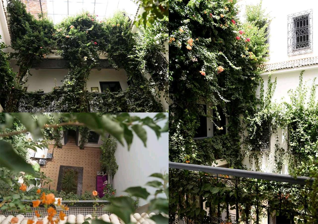 Bougainvillea Riad Marrakesh Extérieur photo