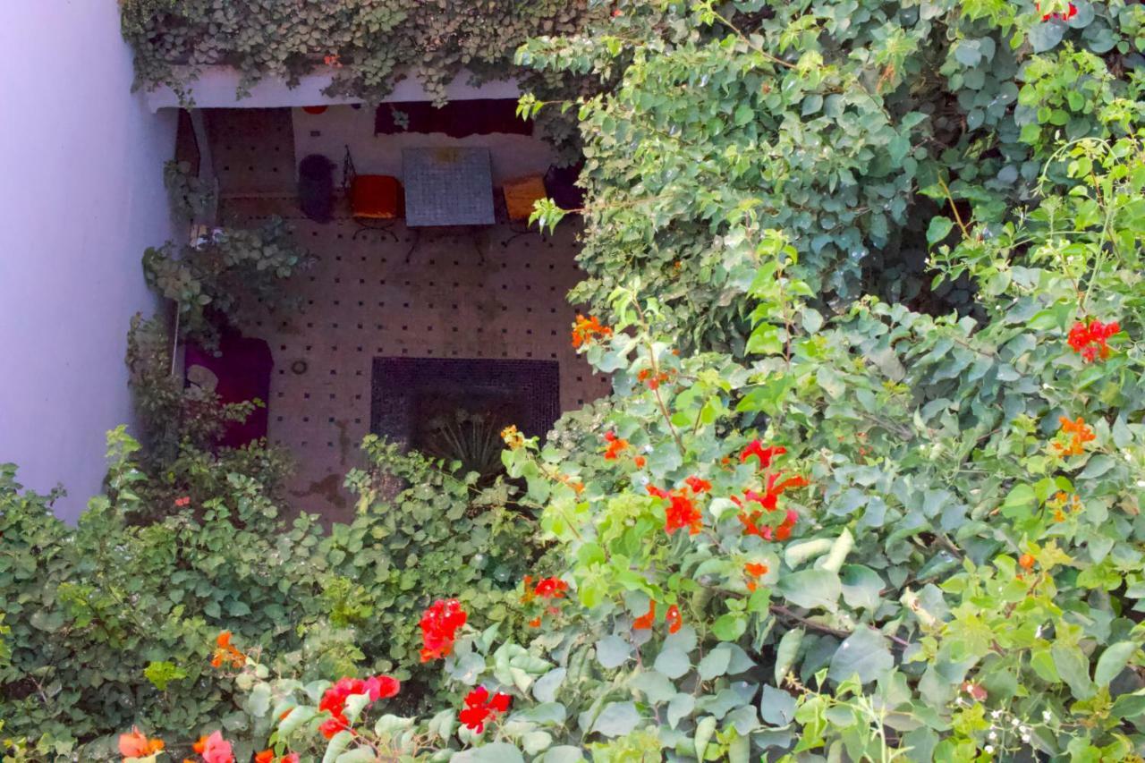 Bougainvillea Riad Marrakesh Extérieur photo